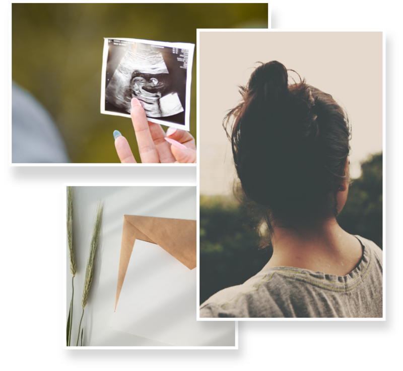 pregnancy support in Fort Collins